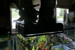 2019-Oceanika-Wystawa-Zdjecie-013-Sera-Fluval-Tomasz-Janik