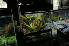 2019-Oceanika-Wystawa-Zdjecie-014-Sera-Fluval-Tomasz-Janik