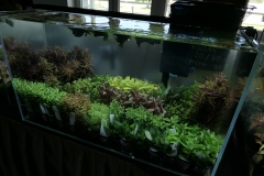 2019-Oceanika-Wystawa-Zdjecie-015-Sera-Fluval-Tomasz-Janik