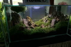 2019-Oceanika-Wystawa-Zdjecie-017-Sera-Fluval-Tomasz-Janik