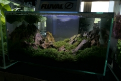 2019-Oceanika-Wystawa-Zdjecie-018-Sera-Fluval-Tomasz-Janik