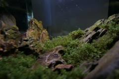 2019-Oceanika-Wystawa-Zdjecie-019-Sera-Fluval-Tomasz-Janik