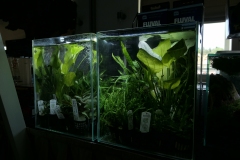 2019-Oceanika-Wystawa-Zdjecie-020-Sera-Fluval-Tomasz-Janik