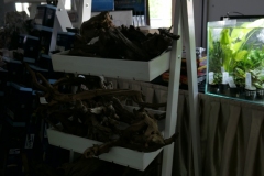 2019-Oceanika-Wystawa-Zdjecie-021-Sera-Fluval-Tomasz-Janik