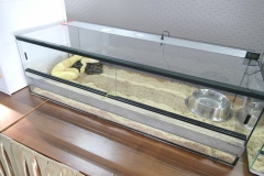 2019-Oceanika-Wystawa-Zdjecie-022-Sklep-Kameleon