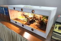 2019-Oceanika-Wystawa-Zdjecie-025-Sklep-Kameleon