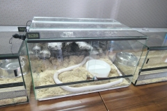 2019-Oceanika-Wystawa-Zdjecie-027-Sklep-Kameleon