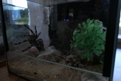 2019-Oceanika-Wystawa-Zdjecie-029-Sklep-Kameleon