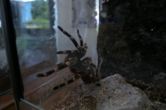 2019-Oceanika-Wystawa-Zdjecie-030-Sklep-Kameleon