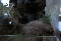 2019-Oceanika-Wystawa-Zdjecie-031-Sklep-Kameleon