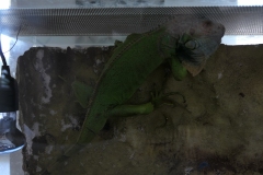 2019-Oceanika-Wystawa-Zdjecie-032-Sklep-Kameleon