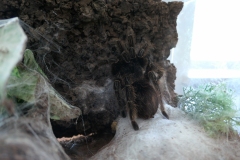 2019-Oceanika-Wystawa-Zdjecie-033-Sklep-Kameleon