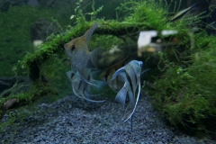 2019-Oceanika-Wystawa-Zdjecie-035-Firma-Juwel