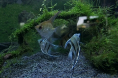 2019-Oceanika-Wystawa-Zdjecie-036-Firma-Juwel