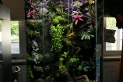 2019-Oceanika-Wystawa-Zdjecie-037-Firma-Terradise