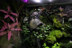 2019-Oceanika-Wystawa-Zdjecie-039-Firma-Terradise