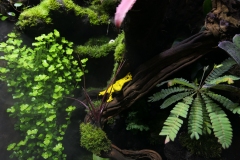 2019-Oceanika-Wystawa-Zdjecie-040-Firma-Terradise