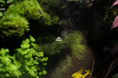 2019-Oceanika-Wystawa-Zdjecie-041-Firma-Terradise