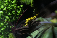 2019-Oceanika-Wystawa-Zdjecie-042-Firma-Terradise