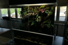 2019-Oceanika-Wystawa-Zdjecie-043-Firma-Terradise