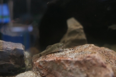 2019-Oceanika-Wystawa-Zdjecie-044-Firma-Terradise