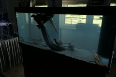 2019-Oceanika-Wystawa-Zdjecie-045-Sklep-Plaszczka