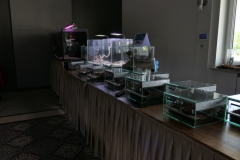 2019-Oceanika-Wystawa-Zdjecie-046-TABU