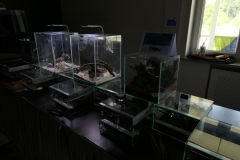 2019-Oceanika-Wystawa-Zdjecie-048-TABU