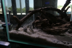 2019-Oceanika-Wystawa-Zdjecie-049-TABU