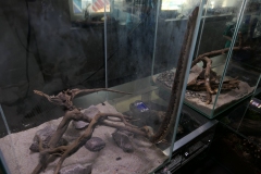 2019-Oceanika-Wystawa-Zdjecie-050-TABU