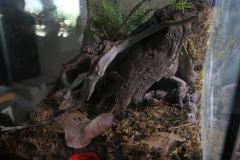 2019-Oceanika-Wystawa-Zdjecie-051-TABU