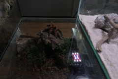 2019-Oceanika-Wystawa-Zdjecie-052-TABU