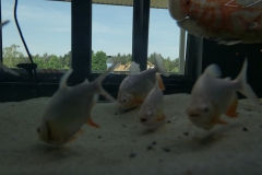 2019-Oceanika-Wystawa-Zdjecie-067-TABU