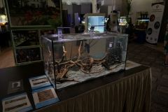 2019-Oceanika-Wystawa-Zdjecie-074-Adam-Karwowski-Muzeum-w-Drozdowie