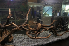 2019-Oceanika-Wystawa-Zdjecie-075-Adam-Karwowski-Muzeum-w-Drozdowie