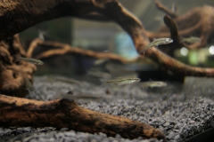 2019-Oceanika-Wystawa-Zdjecie-076-Adam-Karwowski-Muzeum-w-Drozdowie