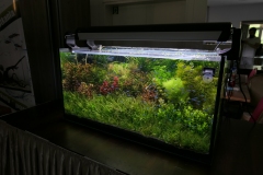 2019-Oceanika-Wystawa-Zdjecie-077-Kieleckie-Forum-Akwarystyczne