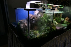 2019-Oceanika-Wystawa-Zdjecie-108-Miroslaw-Karpinski