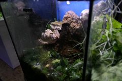 2019-Oceanika-Wystawa-Zdjecie-109-Miroslaw-Karpinski