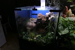 2019-Oceanika-Wystawa-Zdjecie-110-Miroslaw-Karpinski