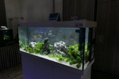 2019-Oceanika-Wystawa-Zdjecie-114-Aqua-Lab