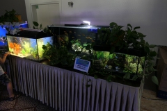 2019-Oceanika-Wystawa-Zdjecie-116-Robert-i-Jakub-Klimaszewscy