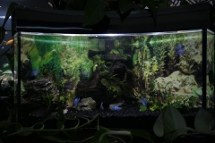 2019-Oceanika-Wystawa-Zdjecie-117-Robert-i-Jakub-Klimaszewscy