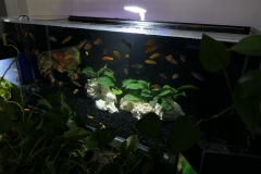 2019-Oceanika-Wystawa-Zdjecie-118-Robert-i-Jakub-Klimaszewscy