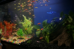 2019-Oceanika-Wystawa-Zdjecie-119-Robert-i-Jakub-Klimaszewscy