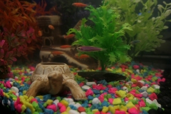 2019-Oceanika-Wystawa-Zdjecie-120-Robert-i-Jakub-Klimaszewscy