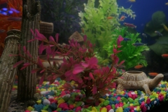 2019-Oceanika-Wystawa-Zdjecie-121-Robert-i-Jakub-Klimaszewscy