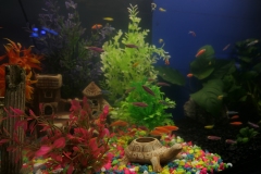 2019-Oceanika-Wystawa-Zdjecie-122-Robert-i-Jakub-Klimaszewscy