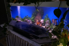 2019-Oceanika-Wystawa-Zdjecie-123-Robert-i-Jakub-Klimaszewscy