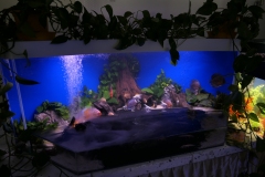 2019-Oceanika-Wystawa-Zdjecie-124-Robert-i-Jakub-Klimaszewscy